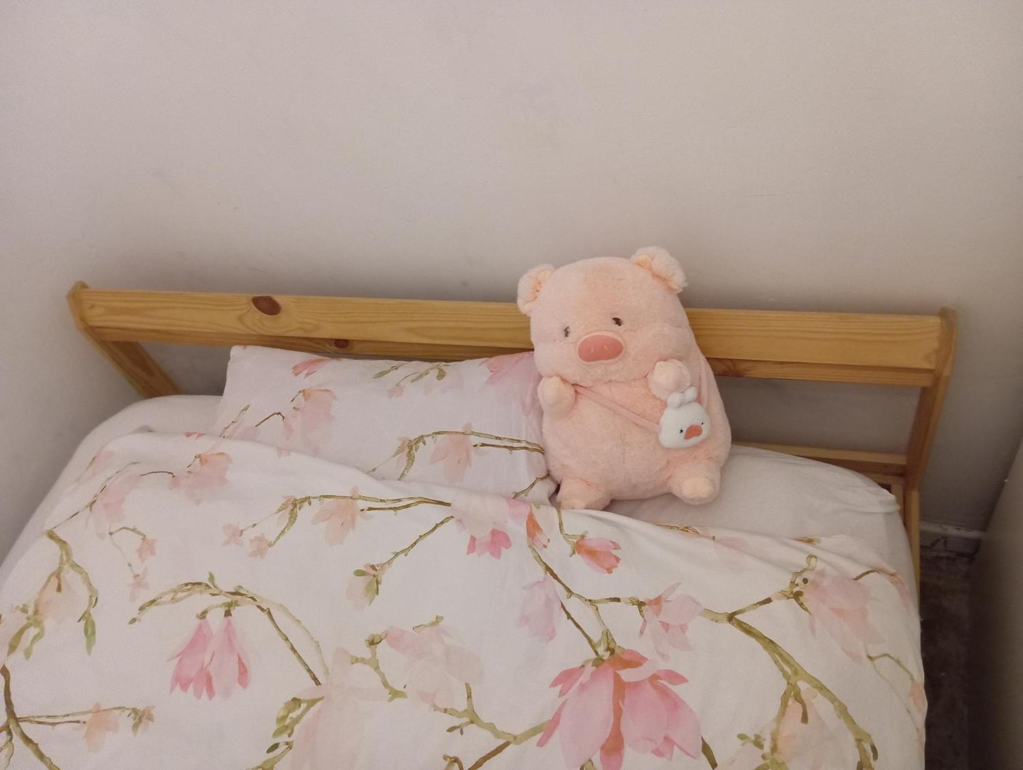 B&B Eco Cubes Madrid Dış mekan fotoğraf